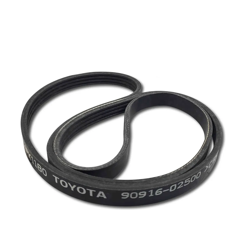 Correa Unica