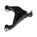 Meseta Inferior Derecha